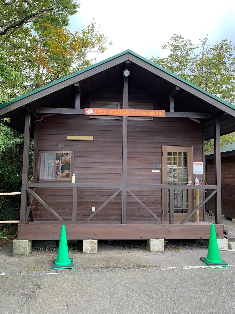 f:id:mayurin2018:20200921223509j:image
