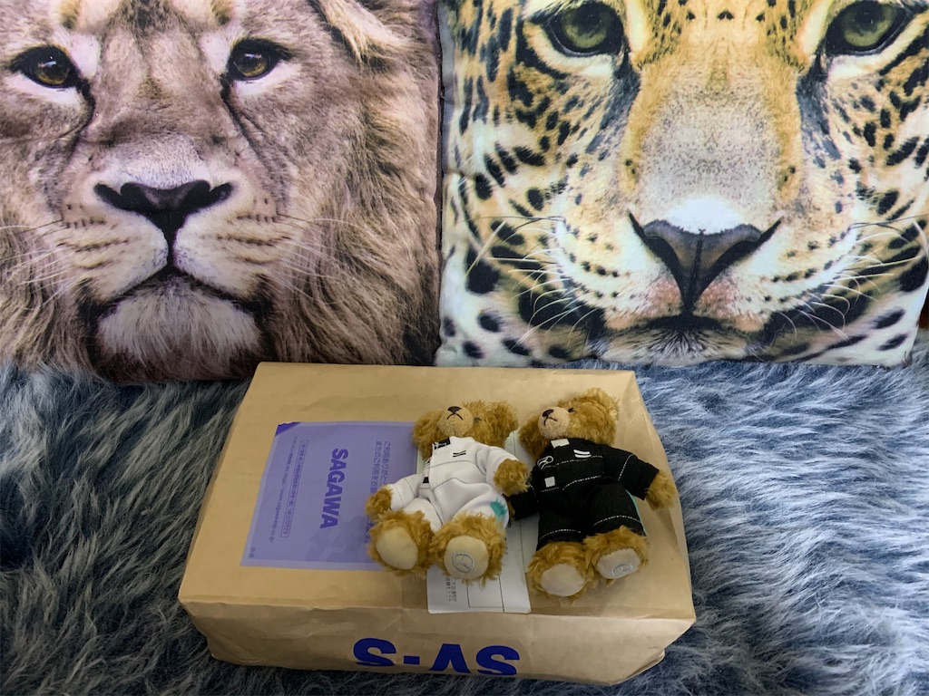 f:id:mayurin2018:20210108142537j:plain