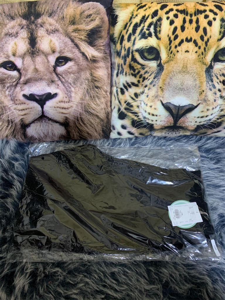 f:id:mayurin2018:20210108142543j:plain