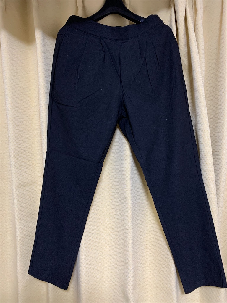 f:id:mayurin2018:20210108142604j:plain