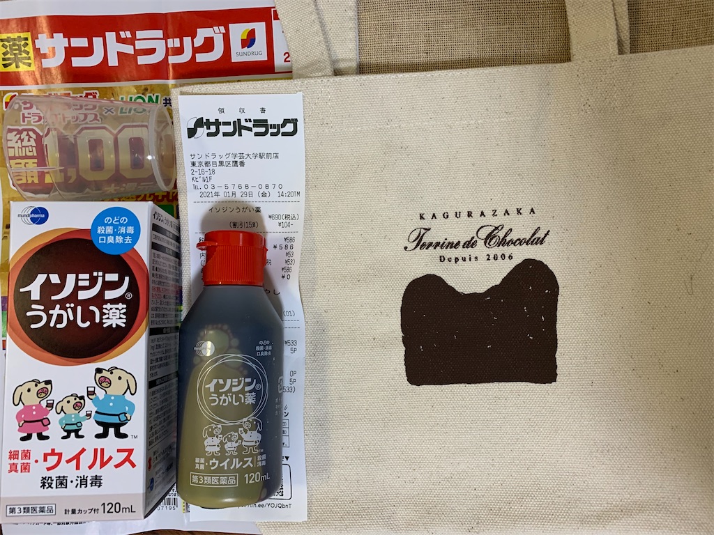 f:id:mayurin2018:20210129145650j:plain