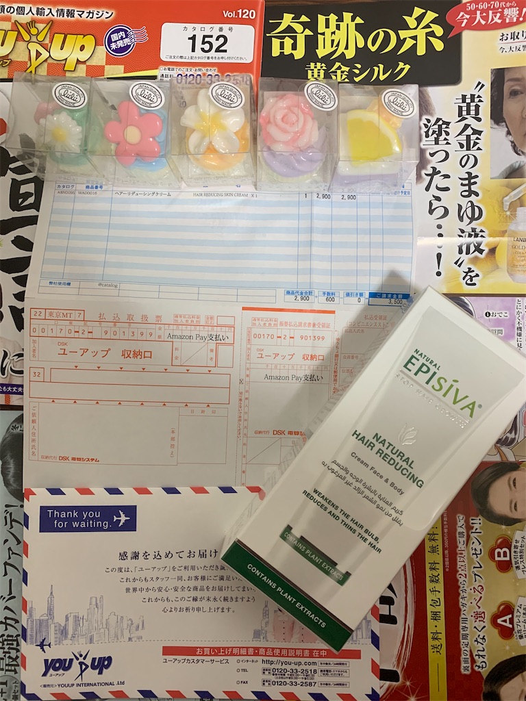 f:id:mayurin2018:20210218160405j:plain