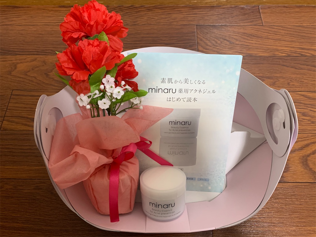 f:id:mayurin2018:20210328143854j:plain