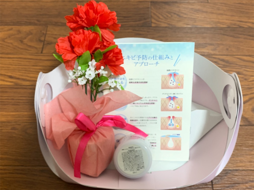 f:id:mayurin2018:20210328143918j:plain