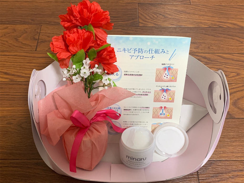 f:id:mayurin2018:20210328143938j:plain