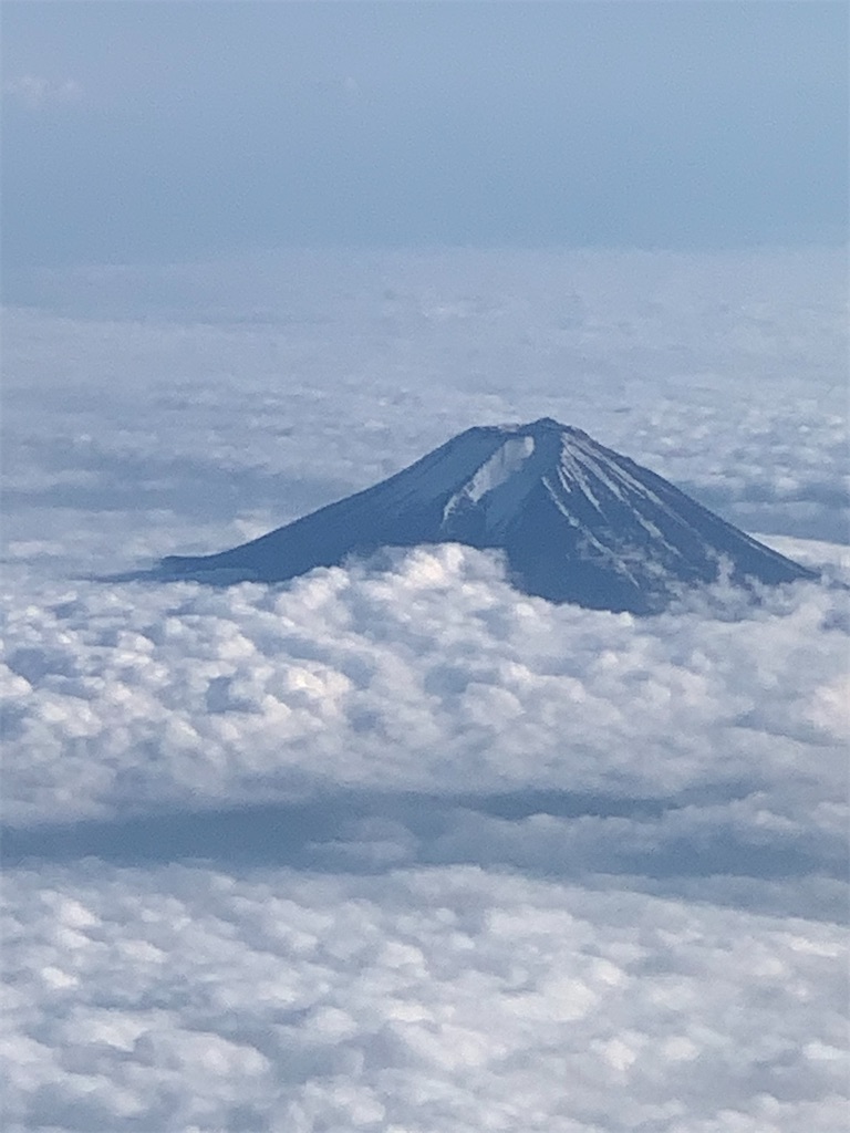 f:id:mayurin2018:20210604103638j:plain