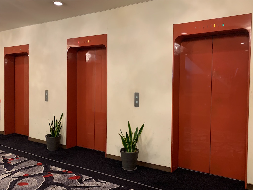 f:id:mayurin2018:20210628111938j:image f:id:mayurin2018:20210628111938j:image