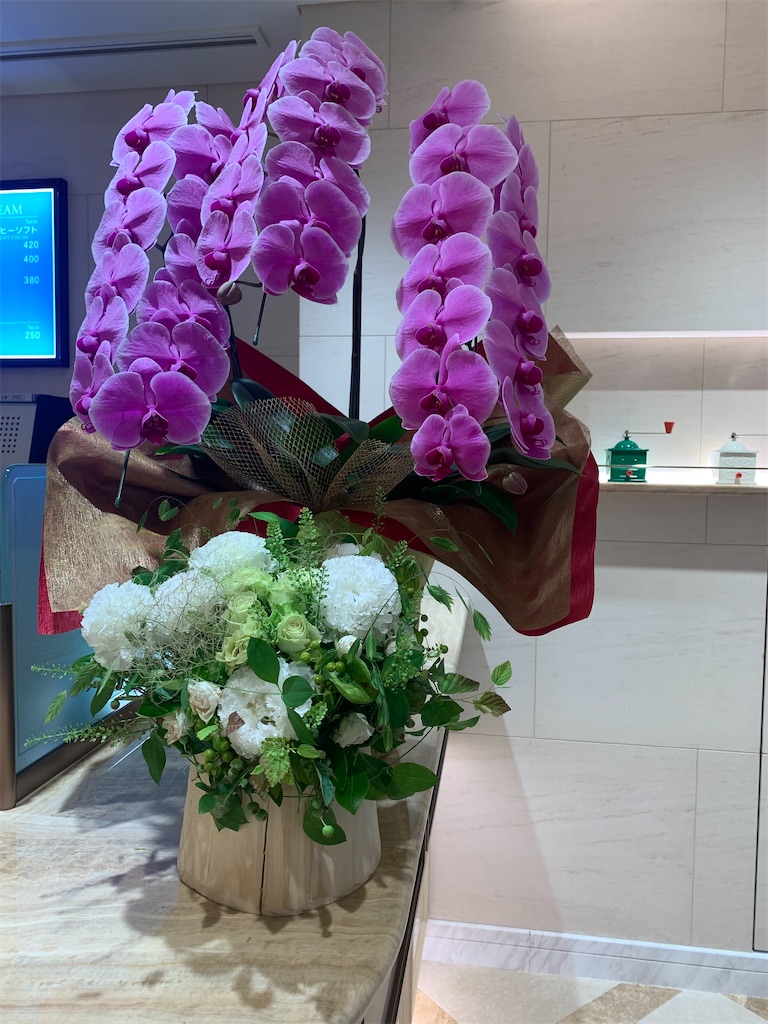 f:id:mayurin2018:20210704163921j:plain