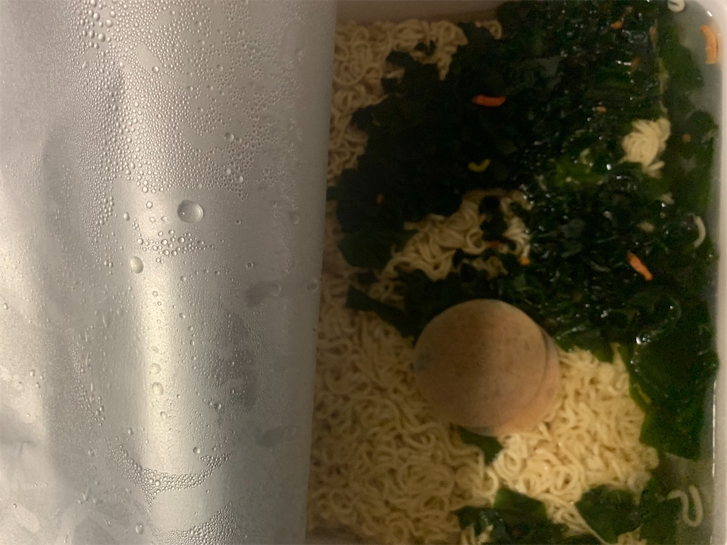 f:id:mayurin2018:20210713071507j:image