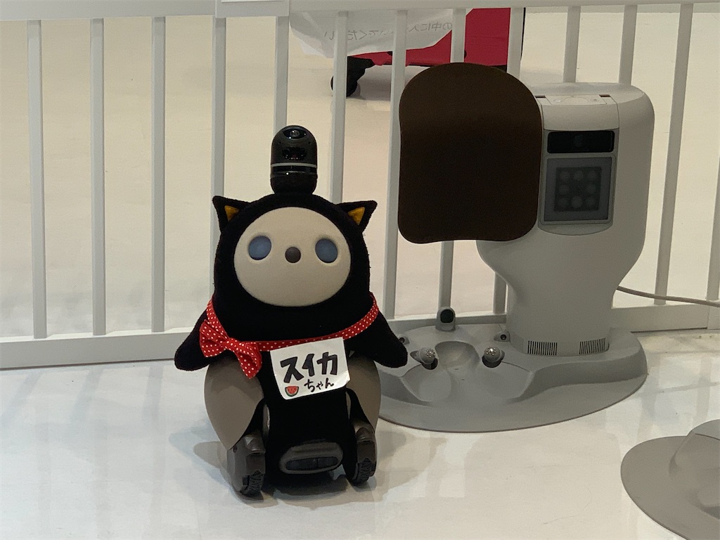 f:id:mayurin2018:20210825033223j:image f:id:mayurin2018:20210825033223j:image