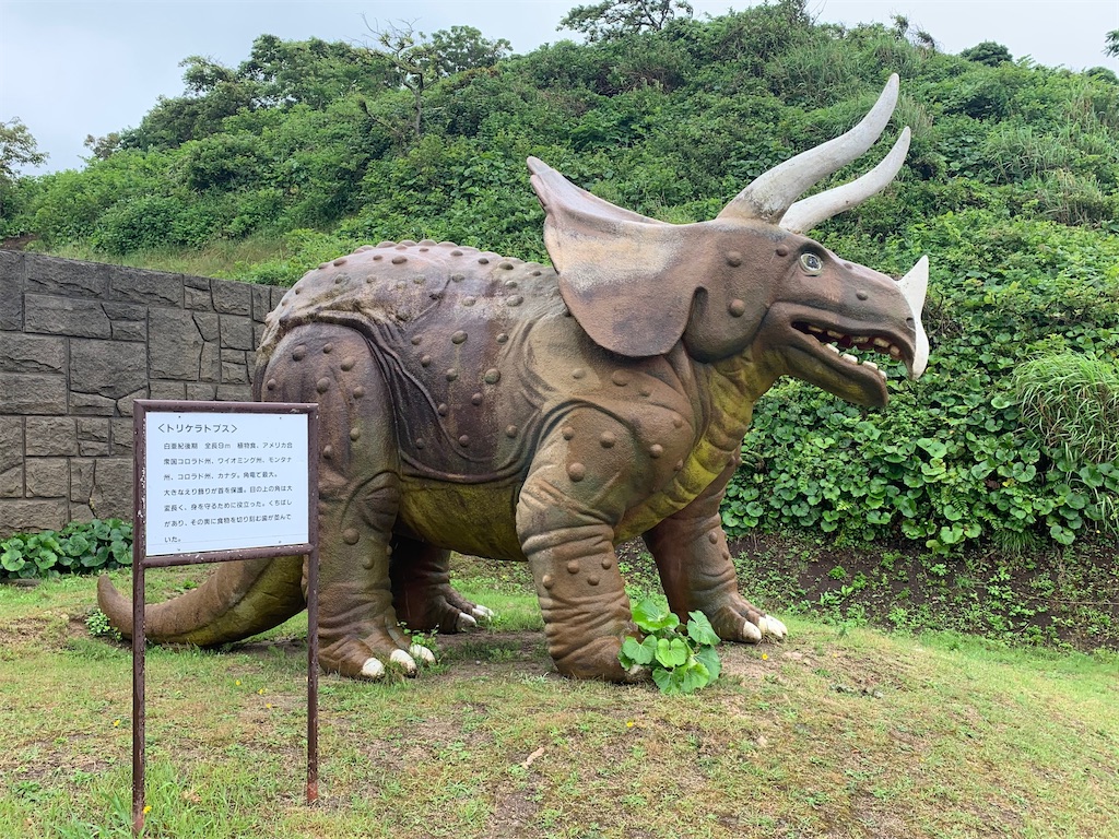 f:id:mayurin2018:20210826183226j:image