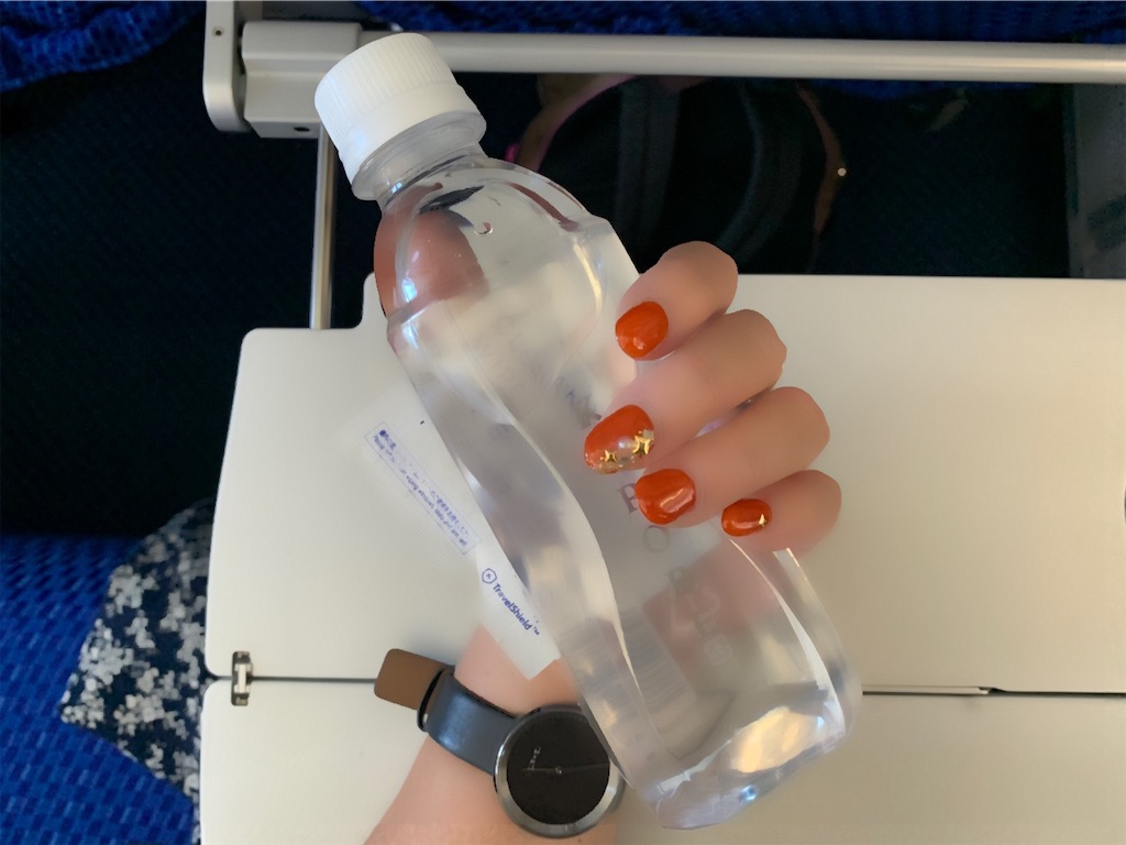 f:id:mayurin2018:20210920163231j:plain