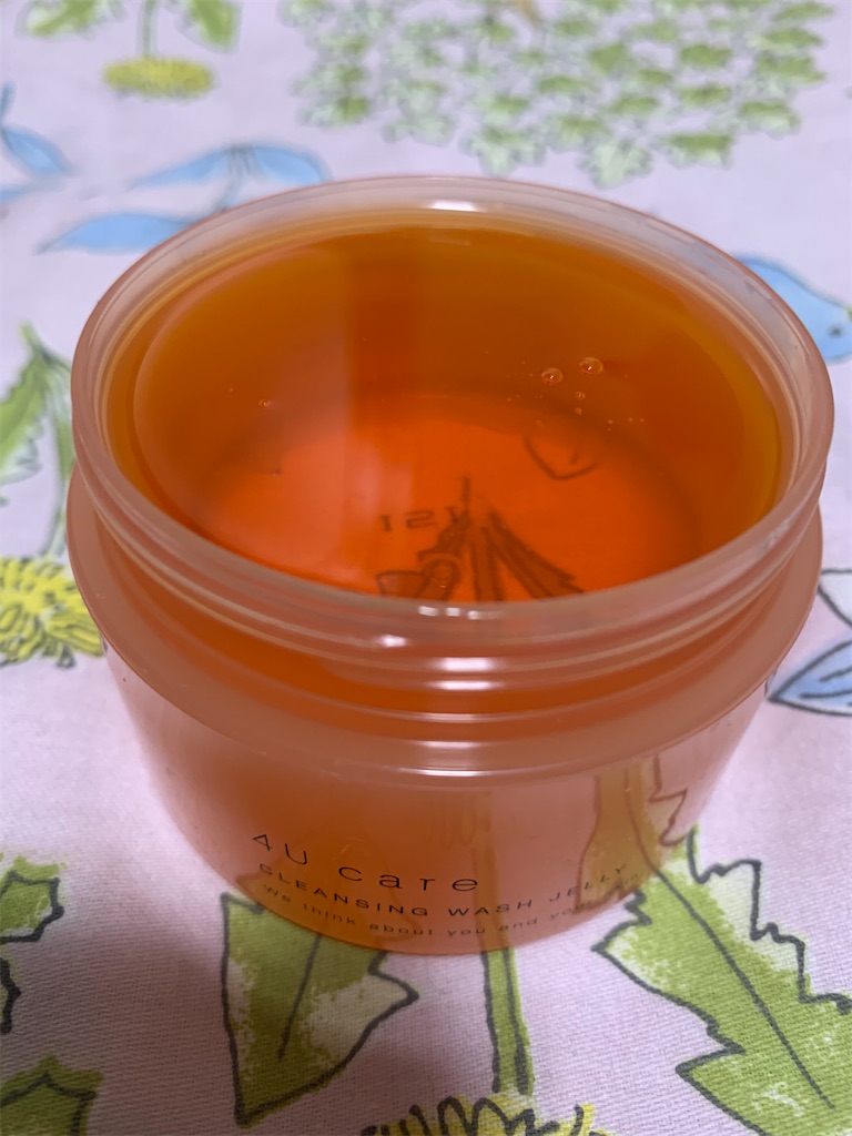 f:id:mayurin2018:20211022162648j:plain