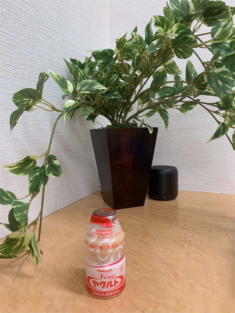 f:id:mayurin2018:20211025105241j:plain