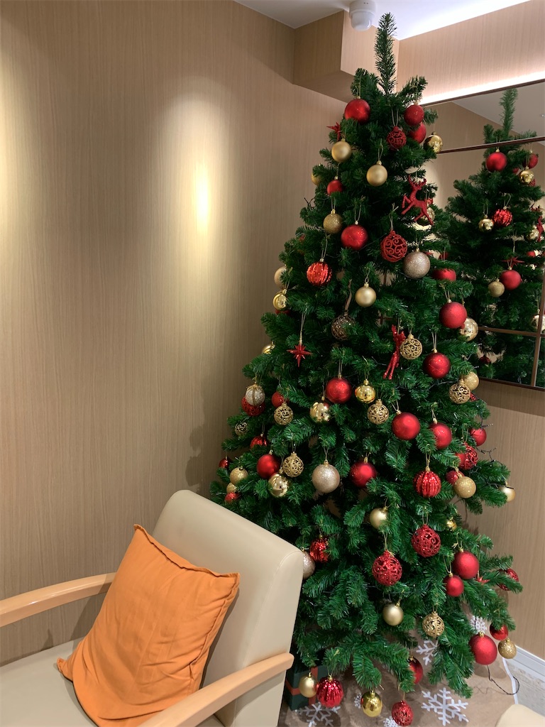 f:id:mayurin2018:20211126115003j:plain