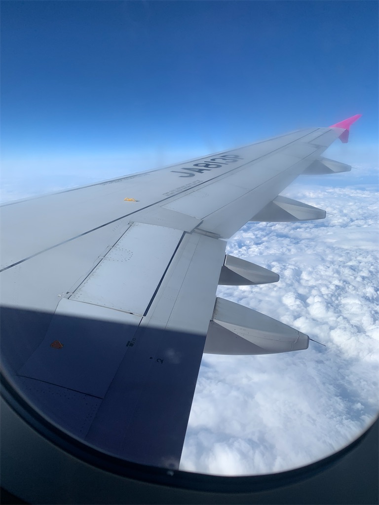 f:id:mayurin2018:20211215173242j:plain