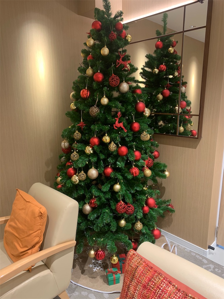 f:id:mayurin2018:20211223165011j:plain