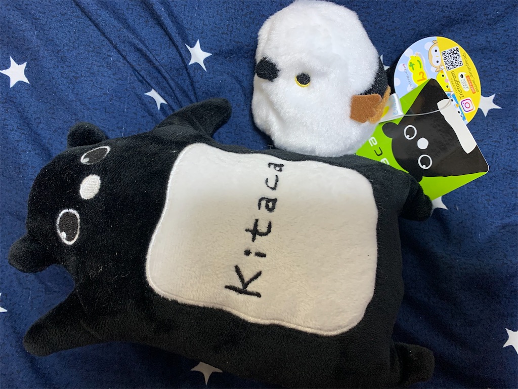 未開封 Kitacaエゾモモンガぬいぐるみ 初期版 鉄道グッズ Jr北海道 Www Thehubkaren Com