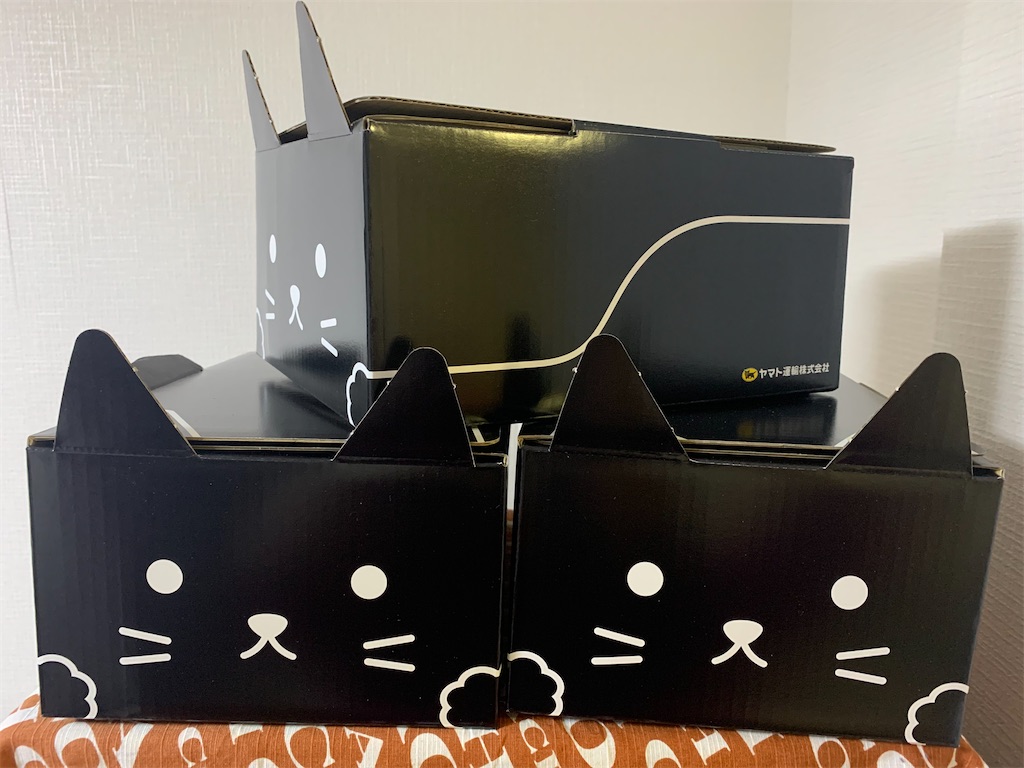 f:id:mayurin2018:20220330192124j:image f:id:mayurin2018:20220330192124j:image