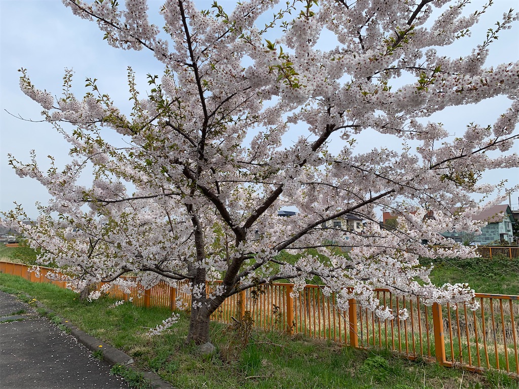 f:id:mayurin2018:20220507113929j:image f:id:mayurin2018:20220507113929j:image