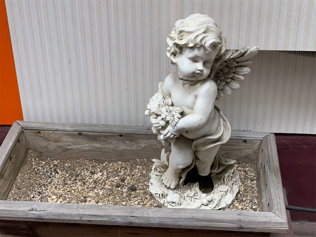 f:id:mayurin2018:20220606151431j:image f:id:mayurin2018:20220606151431j:image