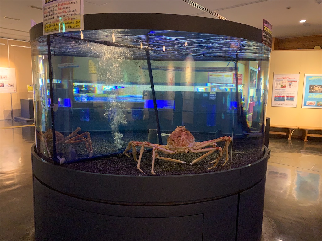 f:id:mayurin2018:20220624153455j:image