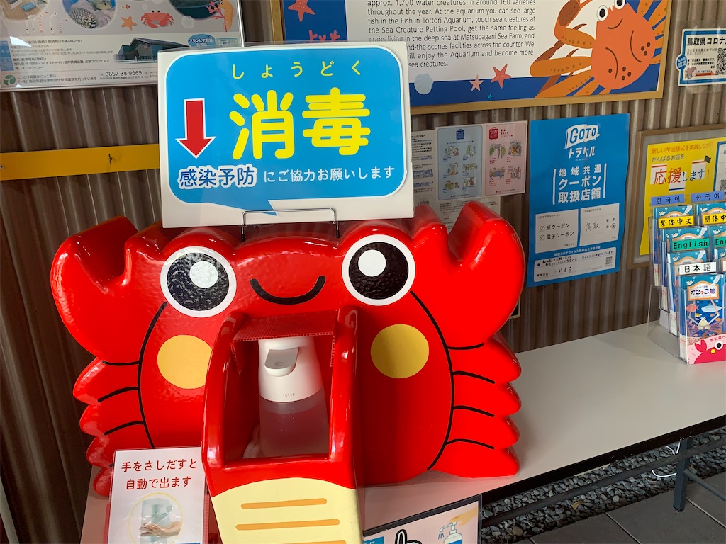 f:id:mayurin2018:20220624153512j:image