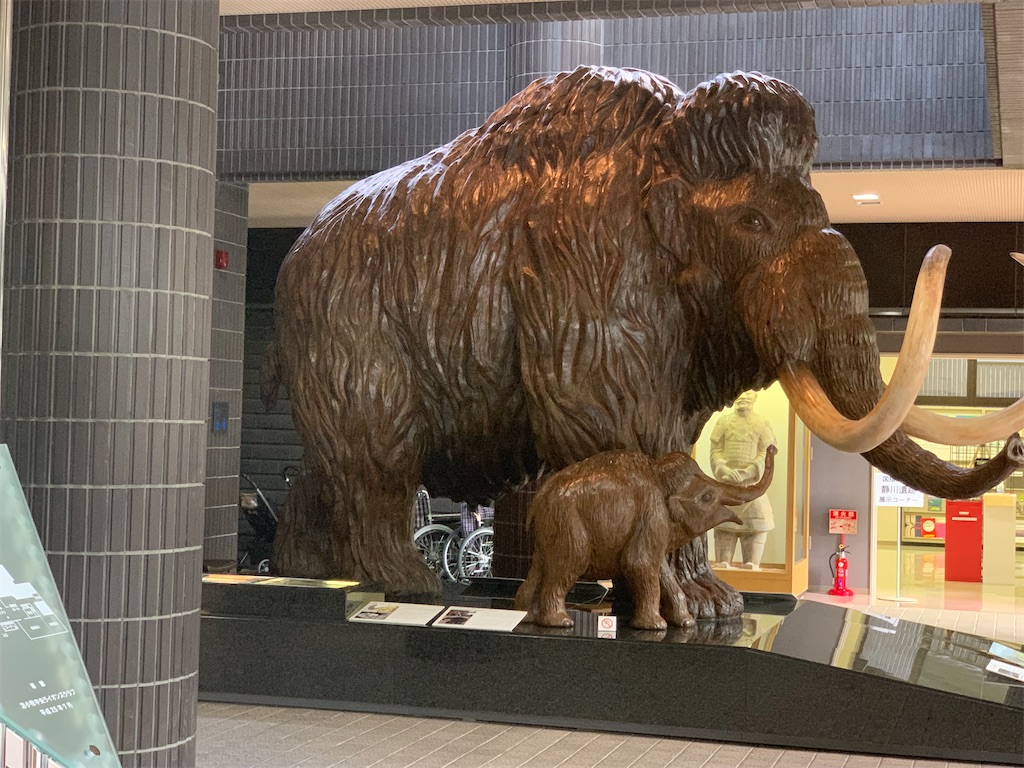 f:id:mayurin2018:20220728192307j:image f:id:mayurin2018:20220728192307j:image