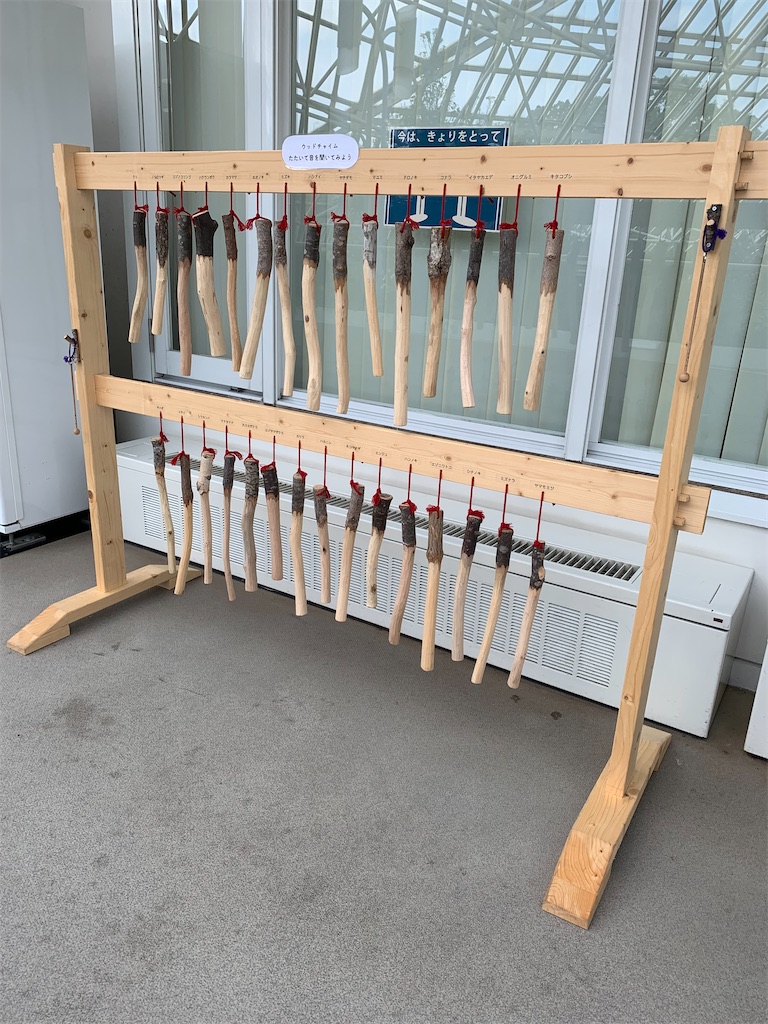 f:id:mayurin2018:20220728193606j:image f:id:mayurin2018:20220728193606j:image