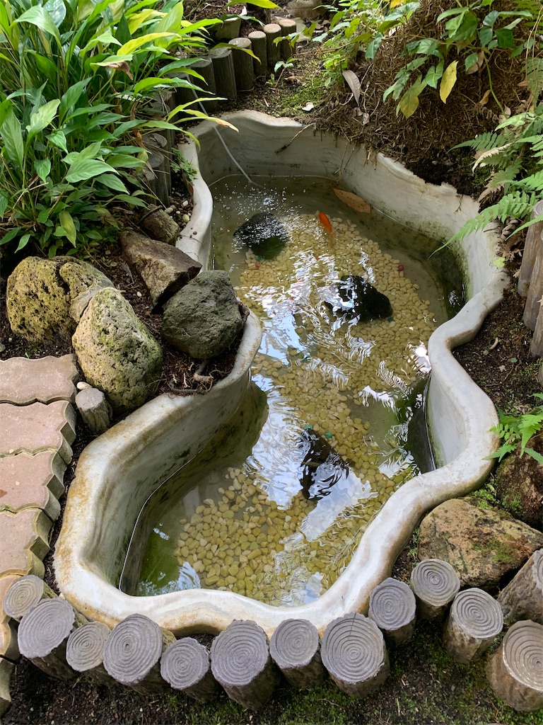 f:id:mayurin2018:20220728193832j:image f:id:mayurin2018:20220728193832j:image