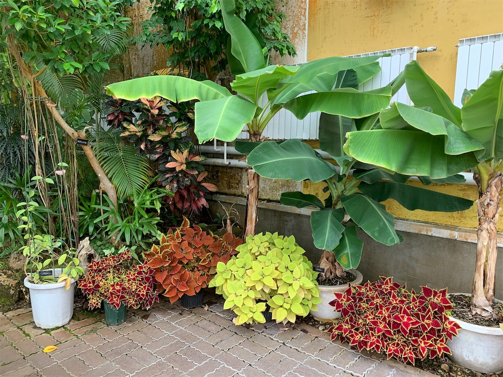 f:id:mayurin2018:20220728193856j:image f:id:mayurin2018:20220728193856j:image