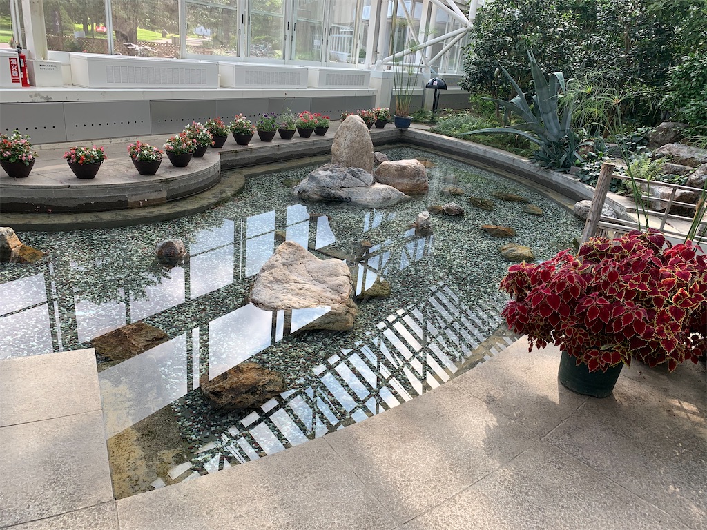 f:id:mayurin2018:20220728193938j:image f:id:mayurin2018:20220728193938j:image