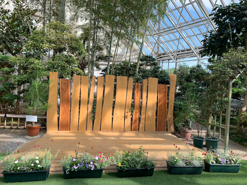 f:id:mayurin2018:20220728193956j:image f:id:mayurin2018:20220728193956j:image