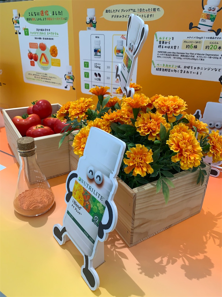 f:id:mayurin2018:20220812150714j:image f:id:mayurin2018:20220812150714j:image