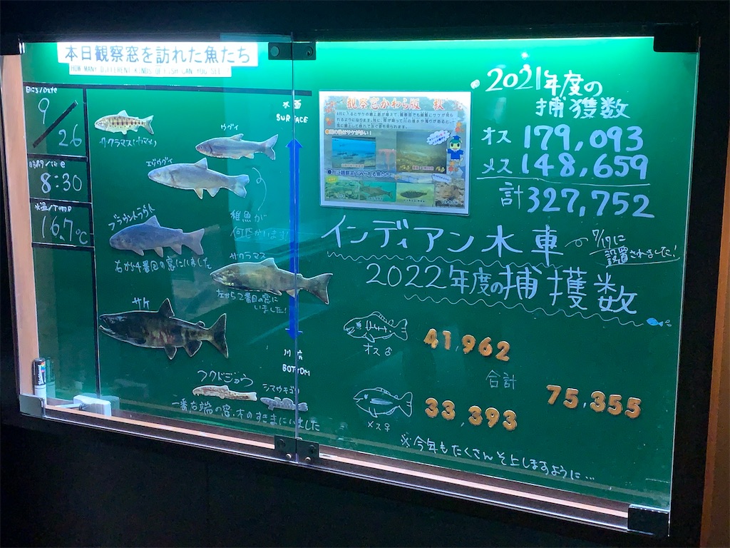 f:id:mayurin2018:20220927051149j:image f:id:mayurin2018:20220927051149j:image