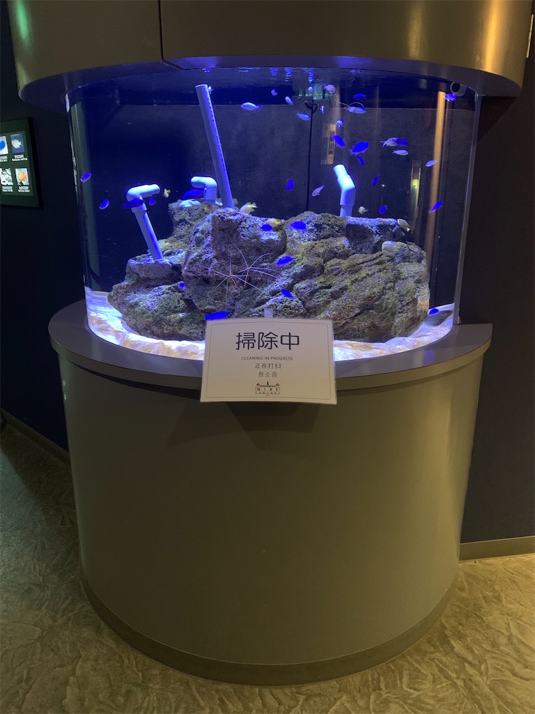 f:id:mayurin2018:20230203120705j:image