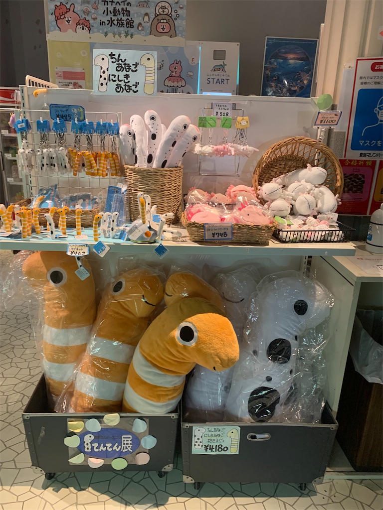 f:id:mayurin2018:20230203121204j:image