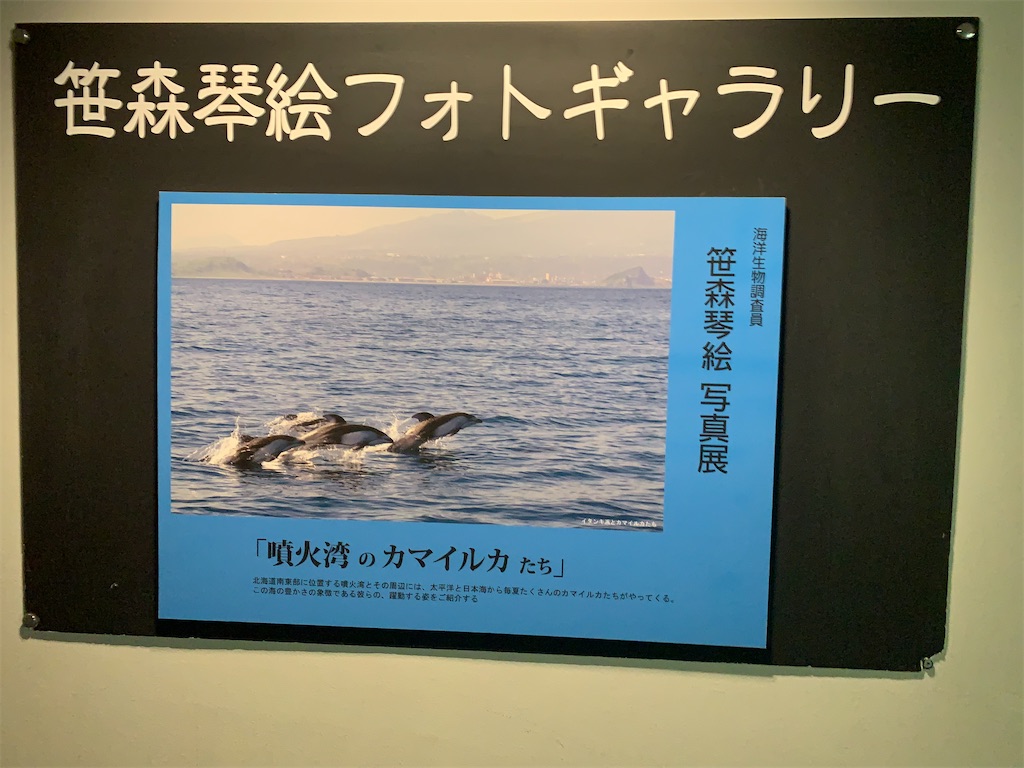 f:id:mayurin2018:20230203121355j:image