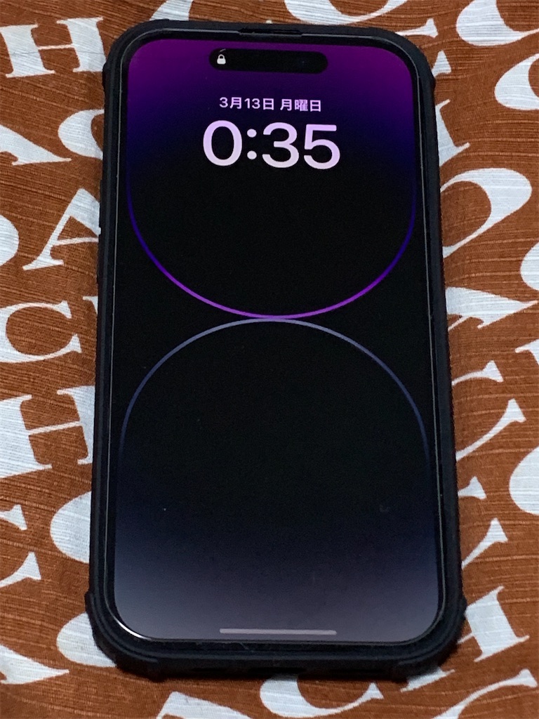 f:id:mayurin2018:20230313004130j:image f:id:mayurin2018:20230313004130j:image