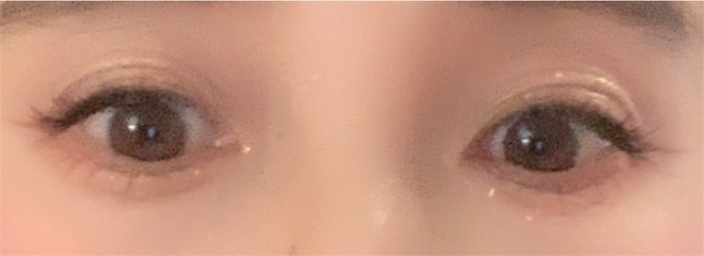 f:id:mayurin2018:20230419145621j:image