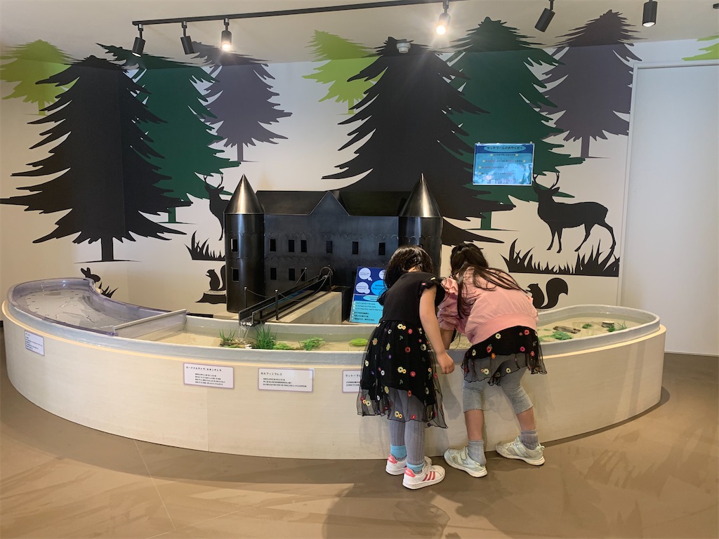f:id:mayurin2018:20230507115146j:image