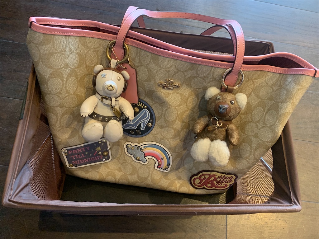 f:id:mayurin2018:20230518140620j:image