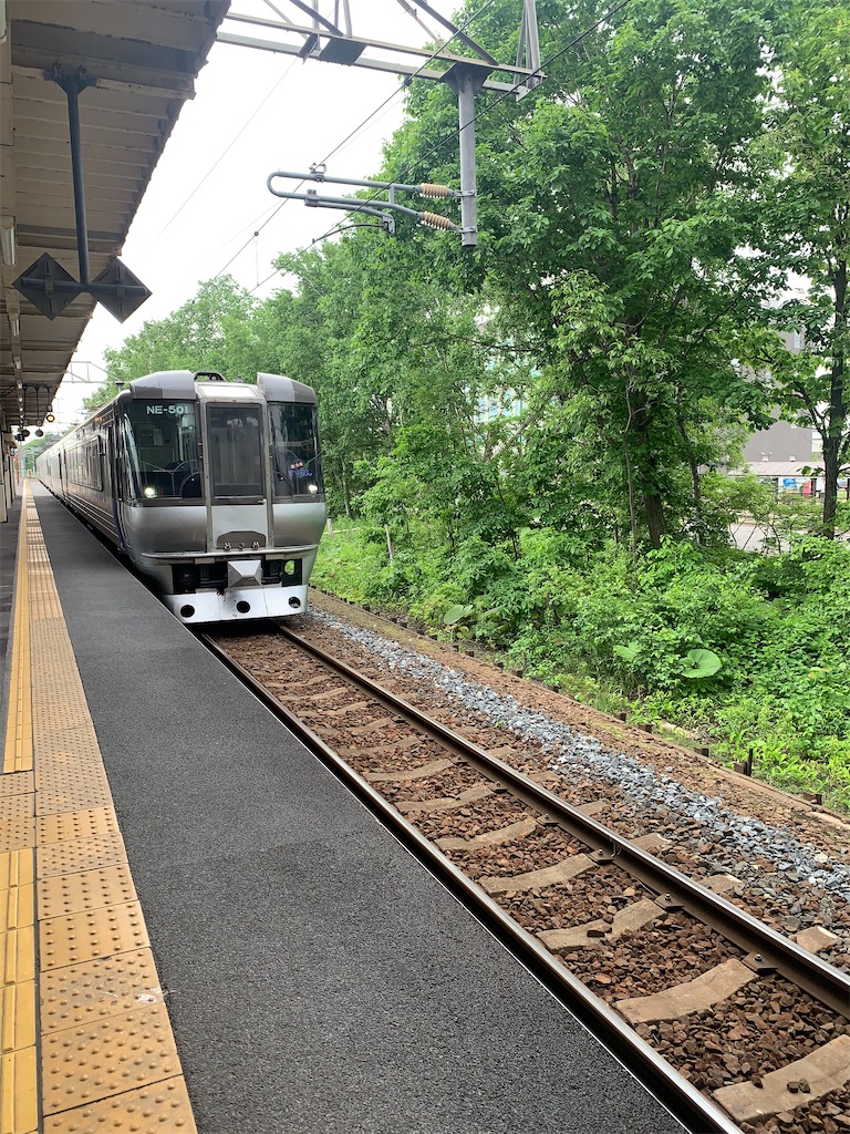 f:id:mayurin2018:20230611165744j:image f:id:mayurin2018:20230611165744j:image