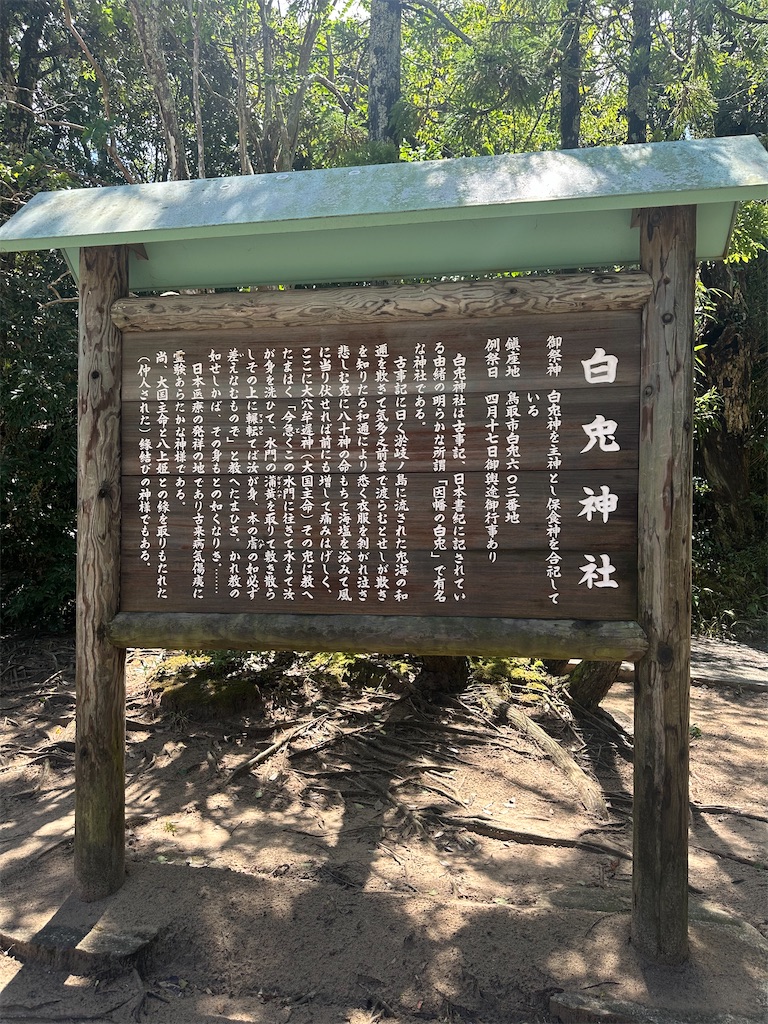 f:id:mayurin2018:20230816133919j:image