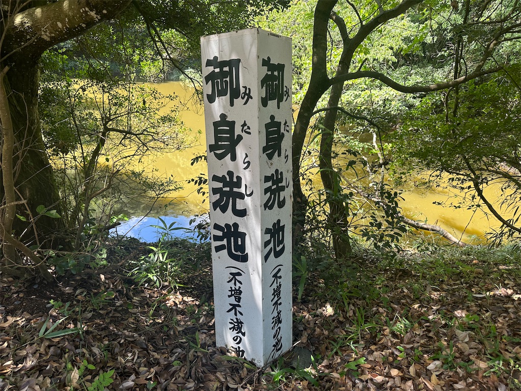 f:id:mayurin2018:20230816134023j:image