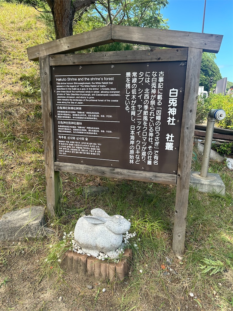f:id:mayurin2018:20230816134101j:image