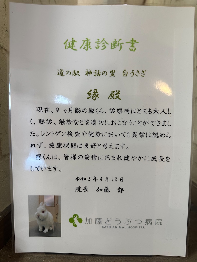 f:id:mayurin2018:20230816134553j:image