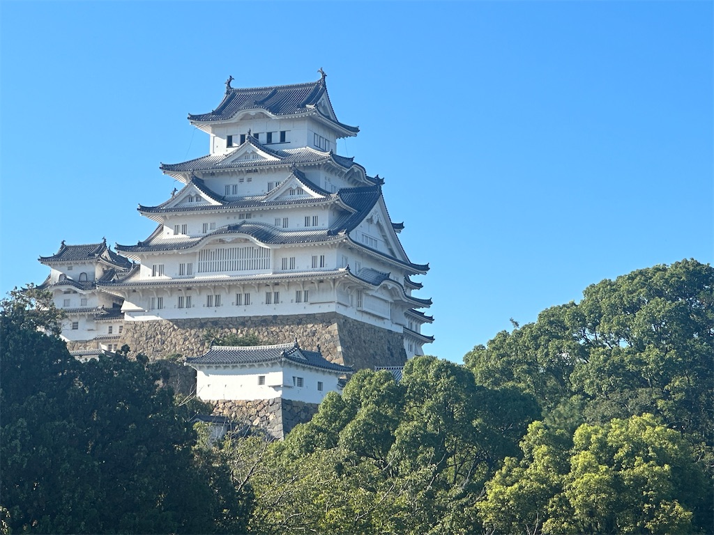 f:id:mayurin2018:20230819232215j:image f:id:mayurin2018:20230819232215j:image