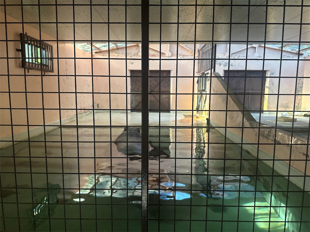 f:id:mayurin2018:20230819232323j:image f:id:mayurin2018:20230819232323j:image