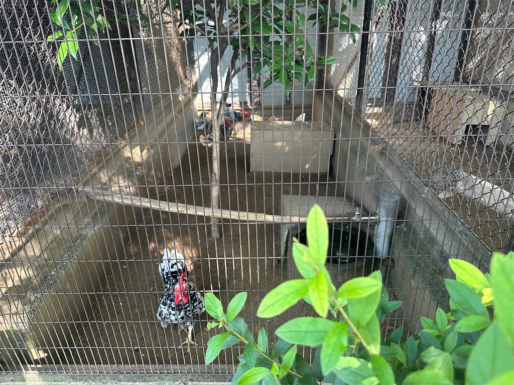 f:id:mayurin2018:20230819232718j:image f:id:mayurin2018:20230819232718j:image